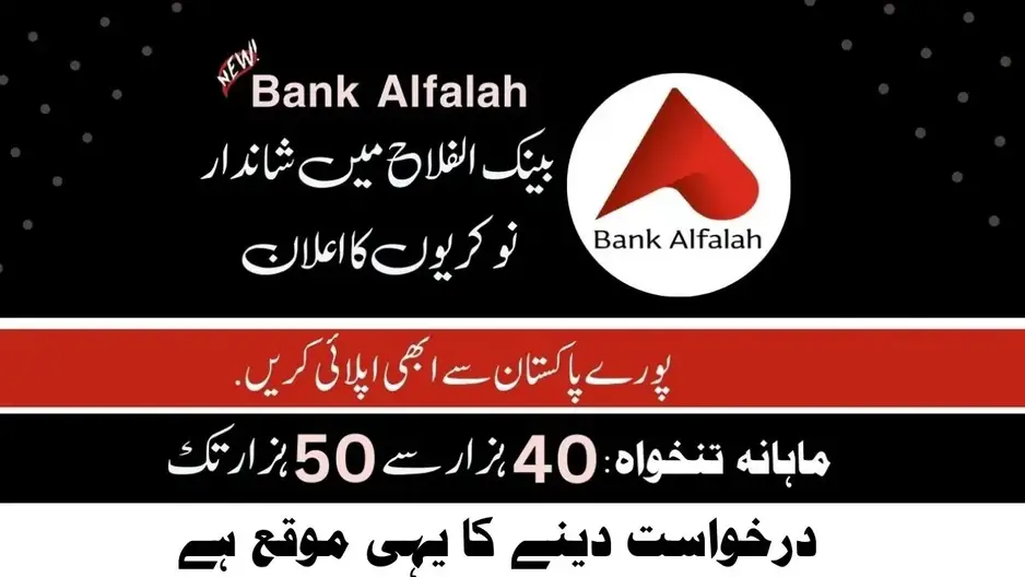 Bank Alfalah Jobs 2024