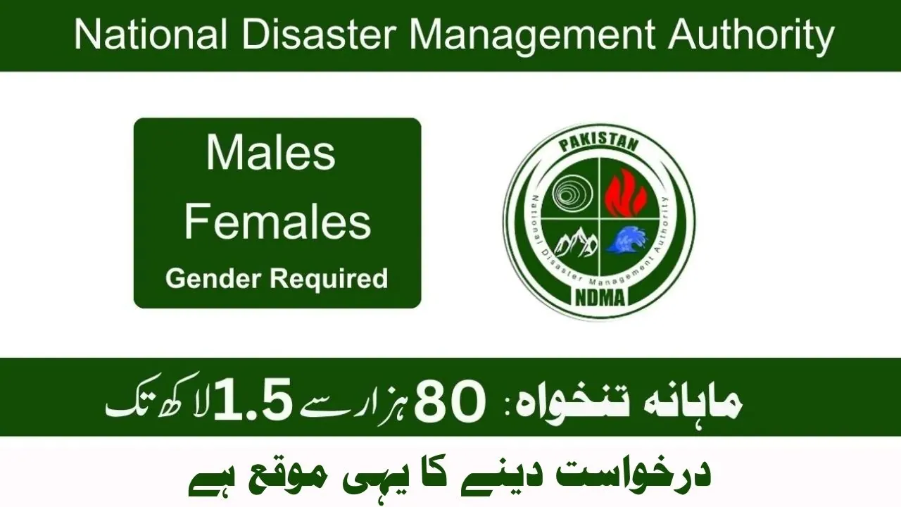 NDMA Jobs 2024