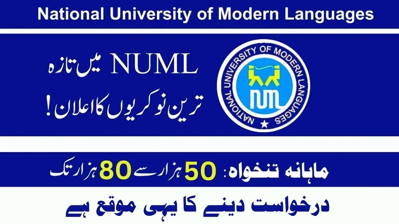 NUML Jobs 2024